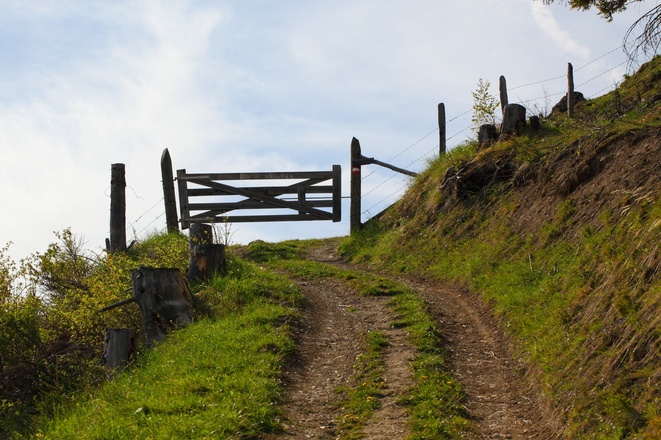 Weg zur Saukaralm