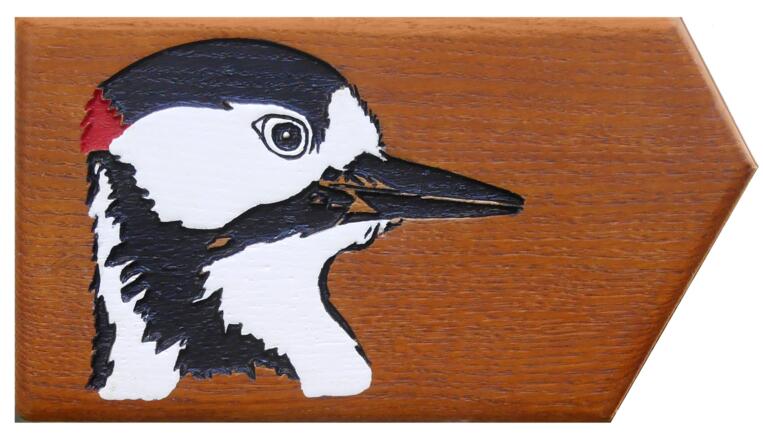 Walderlebnispfad Specht-Logo