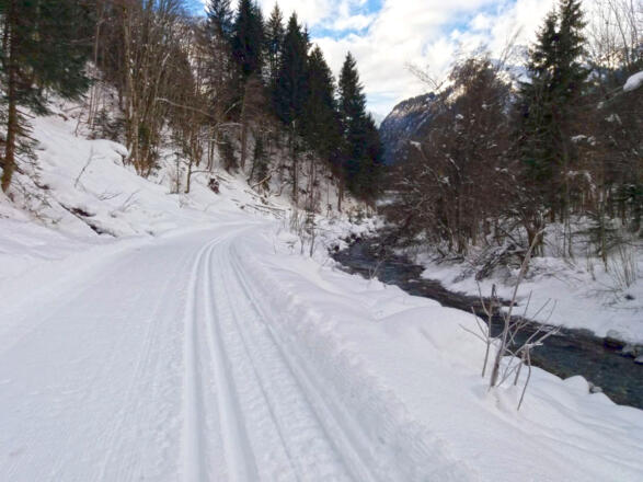 Durch die winterliche Landschaft langlaufen