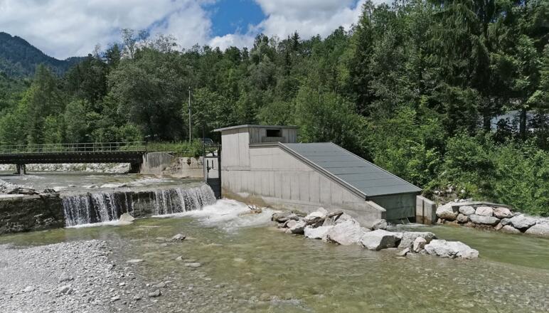 Marblingschnecke - Station 16 Energiewanderweg
