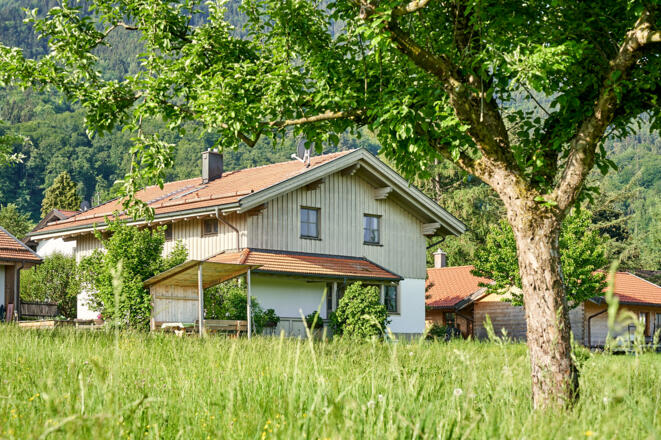 Sommer mit Wiesen