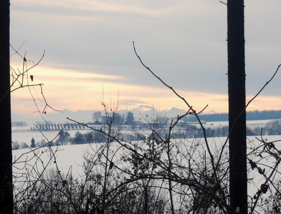 Blick zum Gr. Priel von der Kehre ~330m