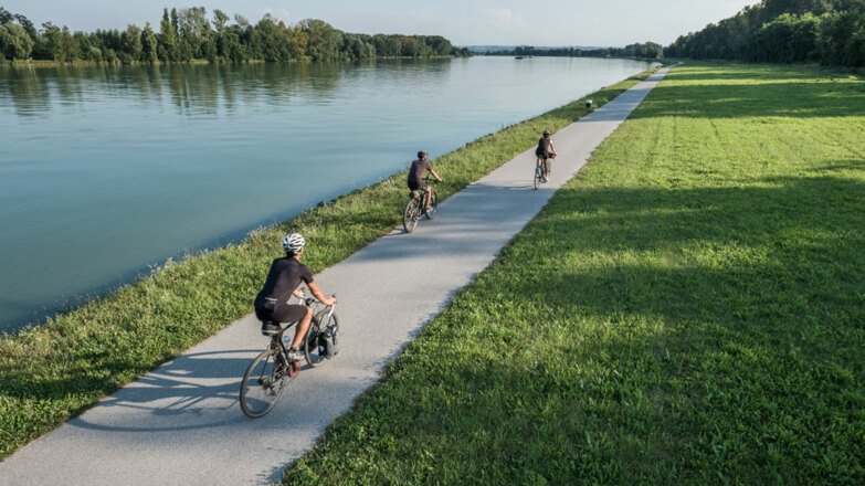 Radfahren-am-Donauradweg-in-Linz_Ober%c3%b6sterreichTourismusGmbH_MoritzAblinger_NEU