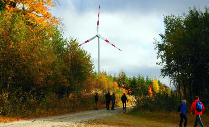 Vom Windrad (1010m) zum Hirschenstein (1026m)