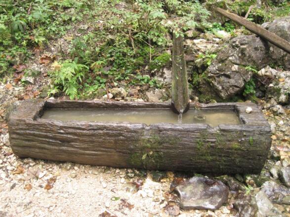 Auf ca. 980 m Seehöhe befindet sich der Aurachursprung, ab hier geht es in Serpentinen durch den Wald.