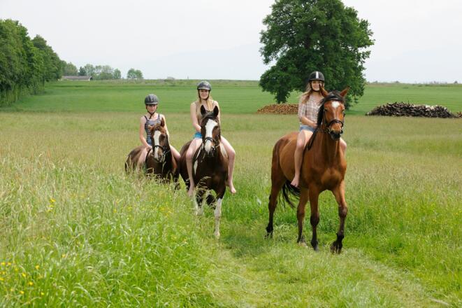 Ausritt mit den Pferden