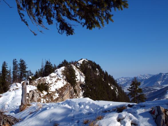 Rückblick zur Schneid 1550m vor dem Abstieg