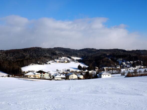 Hackl am Berg mit Kürnberg vom Güterweg Katzing