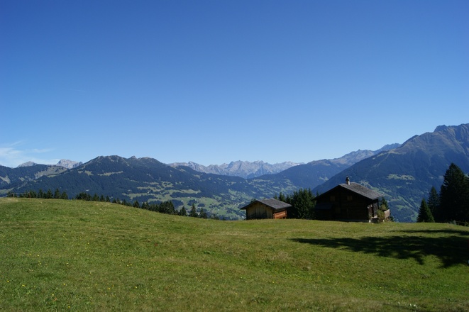 Maisässlandschaft Matschwitz