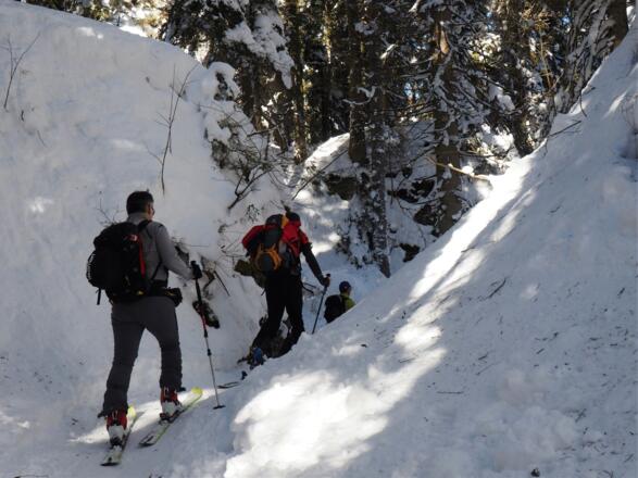 In der "eisigen" Höll um 1265m
