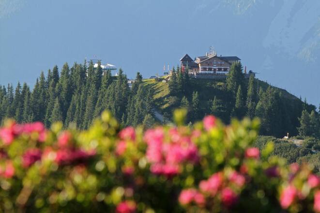 Blick vom Rossfeld auf die Hochwurzen