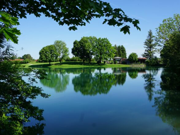 Reifinger See