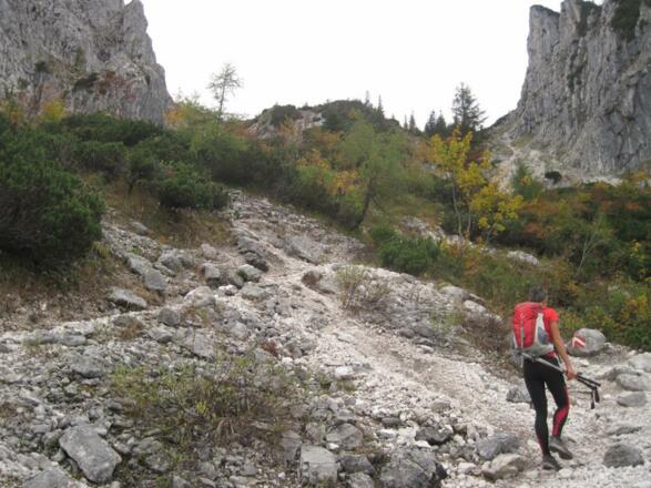 Knapp ober der Waldgrenze auf ca. 1.100 m Seehöhe im "Vorderen Aurachkar".