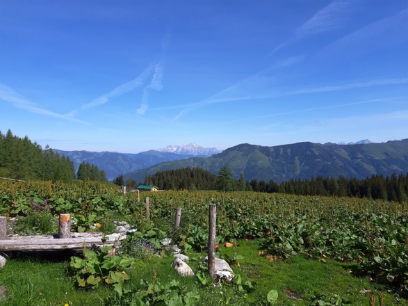 Magische Panorama-Impressionen genießen