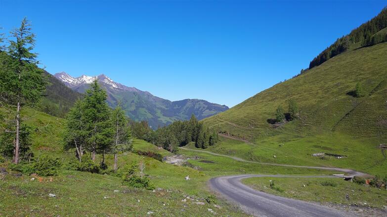 Mountainbike Tour durch das Sulzbachtal in Fusch