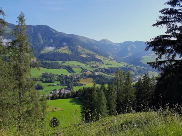 Ausblick genießen - am Weg zur Erlhofalm