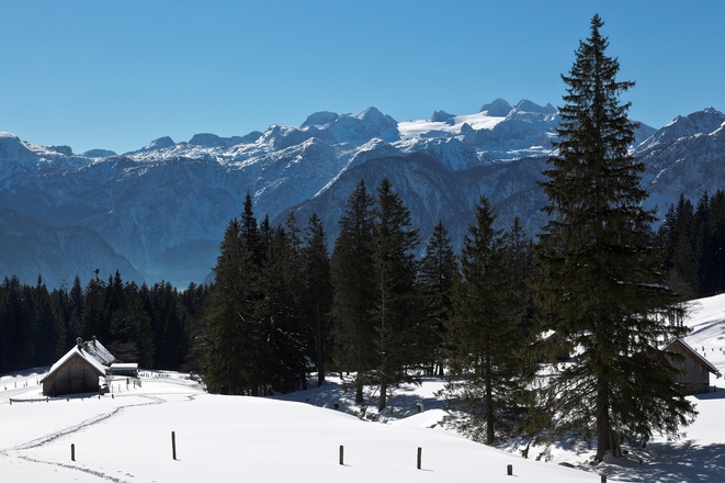 Langlauf Höhenloipe am Predigstuhl in Bad Goisern am Hallstättersee