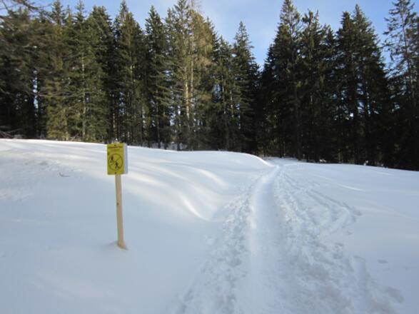 Schneeschuh- bzw. Skitourentrail - Hütteneck in Bad Goisern am Hallstättersee
