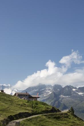 Gletscherblick Alm