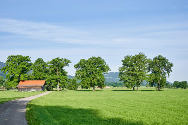 Umgebung