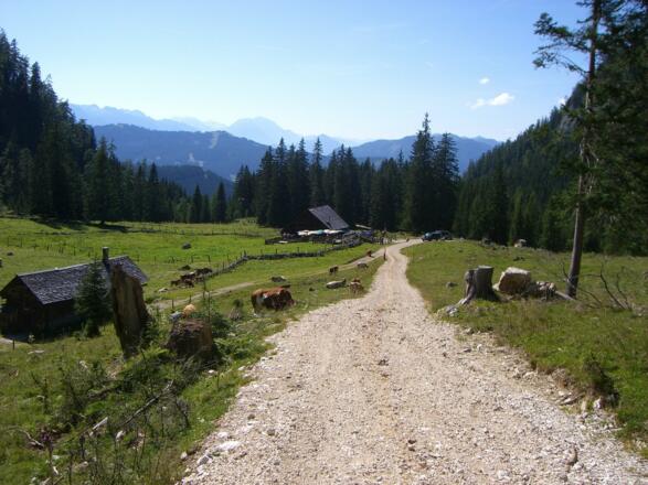 Rossalm Gosau