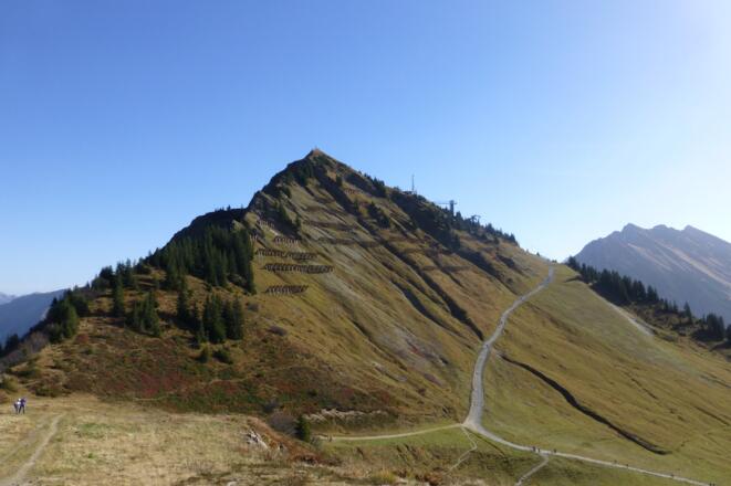 Walmendinger Horn im Sommer