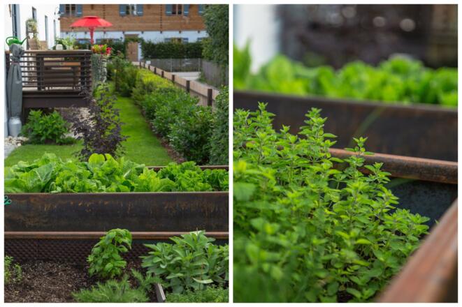 Ferienwohnung Zollhaus