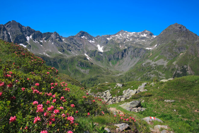 Auf dem Weg zur Trockenbrotscharte - Blick zurück Richtung Vetternspitze