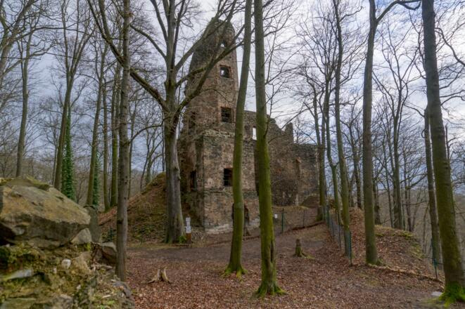 Burgruine Liebau