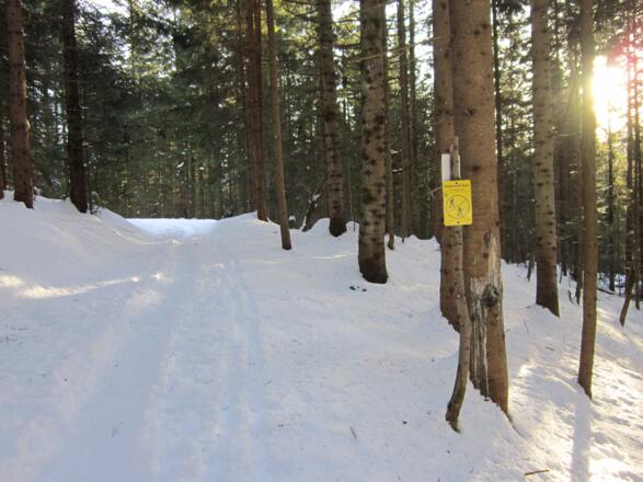 Schneeschuh- bzw. Skitourentrail Hütteneck in Bad Goisern am Hallstättersee