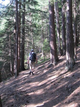 Auf dem Trinsersteig