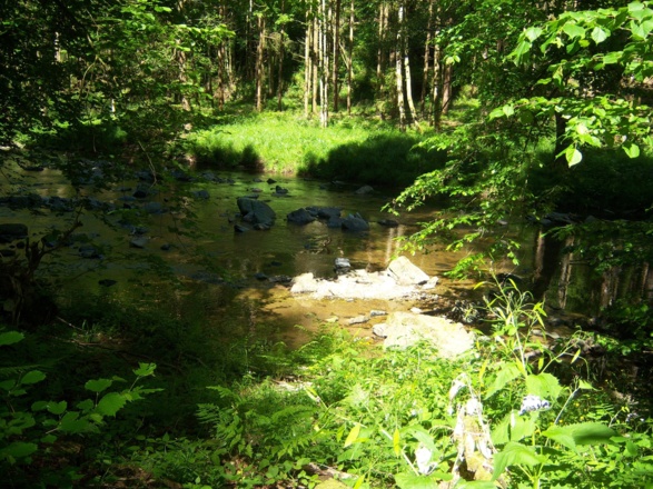 Erlautal
