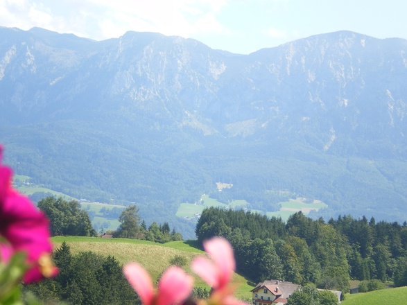 Ferienwohnung (3).JPG