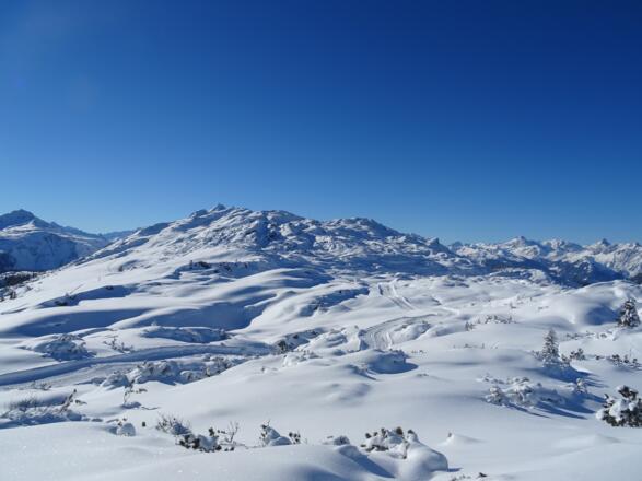 Blick hinauf zum Muttjöchle