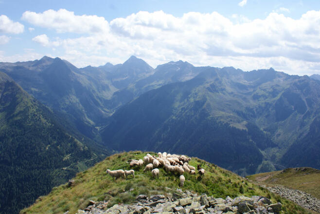 Blick von der Hasenkarspitze in Richtung Hochgolling