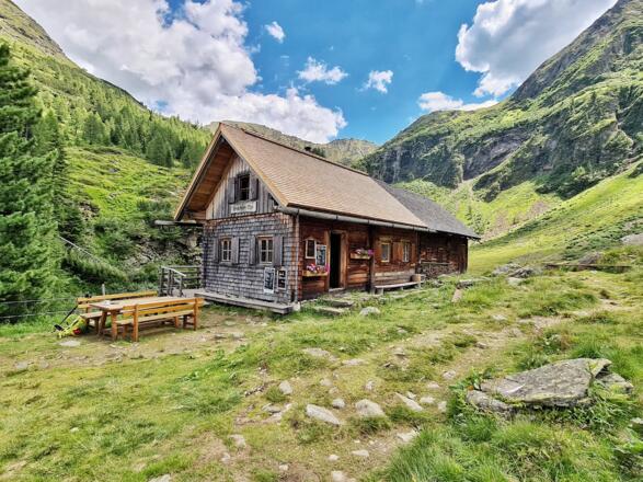 Waldhornalm mit schönem neuem Schindeldach