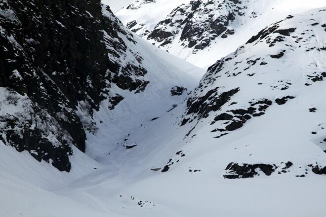 Erste Zwinge - sieht oft harmlos aus