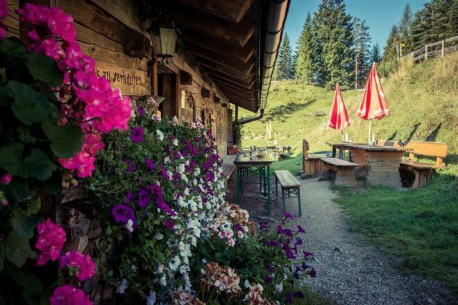 Brentenjochalm Wandern Einkehr  Terrasse Nazurerlebnis Kaisergebirge