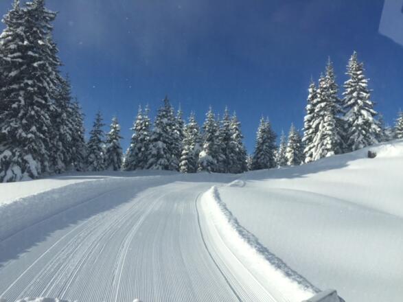Winterwandern