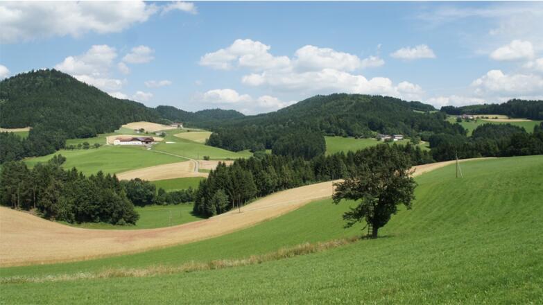 Wellige Landschaften erradeln