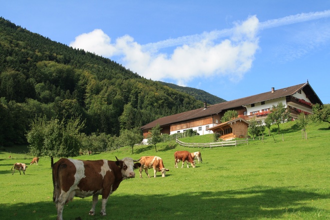 Unterulpointhof im Sommer