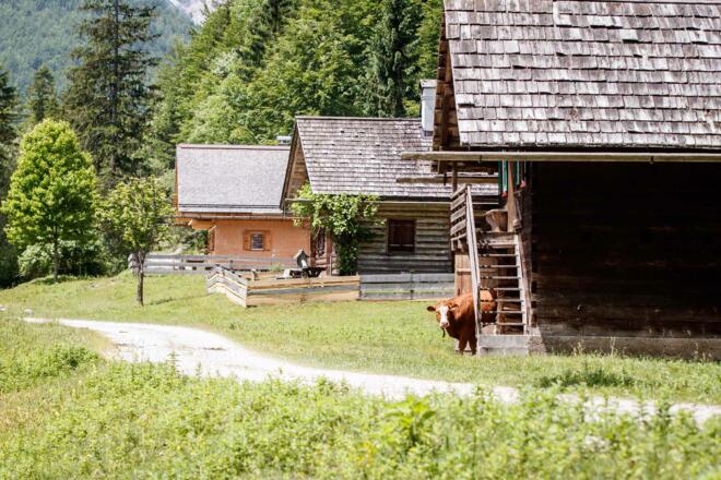 Die malerische Brunntal Alm im Weißenbachtal an der Hochmuth Runde