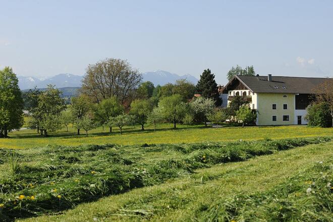 Haus mit Wiesen- und Bergblick