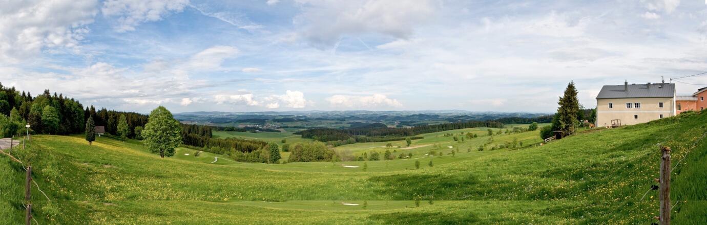 Panorama