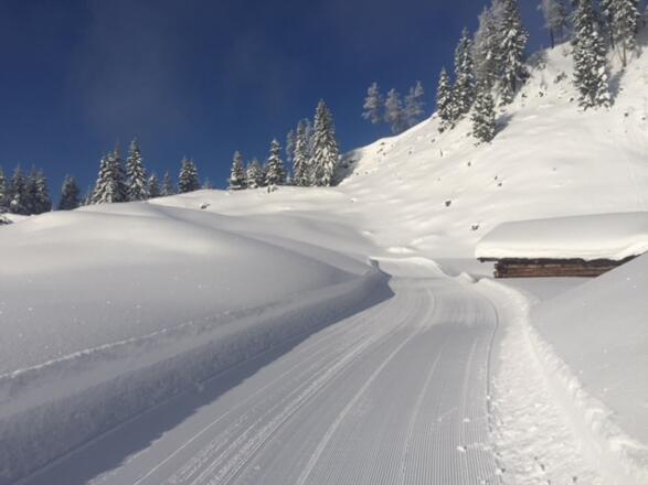 Winterwandern
