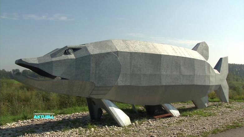 Donausteig Wandertipp Naarn: Fuchtelmanderl-Weg