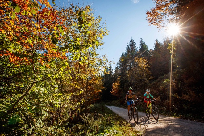 Mit dem Bike durch die Wälder des Salzkammerguts
