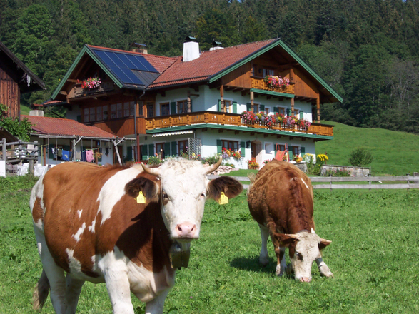 Hausansicht im Sommer