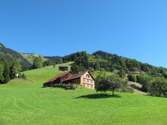 Altes Haus in Thüringerberg mit schön gepflegten Wiesen