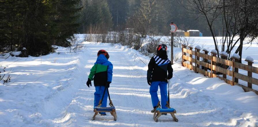 Kinder beim Aufstieg Rodelbahn Höllenstein Münster in Tirol